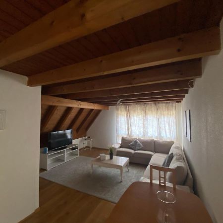 Get Cozy Family Flat Zuerich Apartment Bagian luar foto
