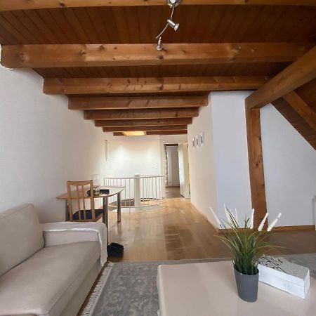 Get Cozy Family Flat Zuerich Apartment Bagian luar foto