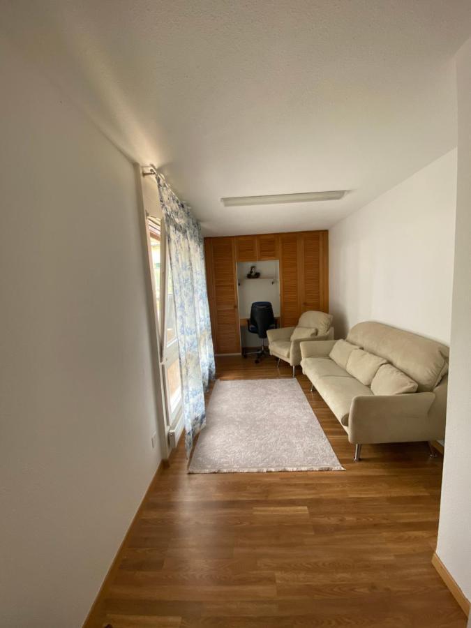 Get Cozy Family Flat Zuerich Apartment Bagian luar foto