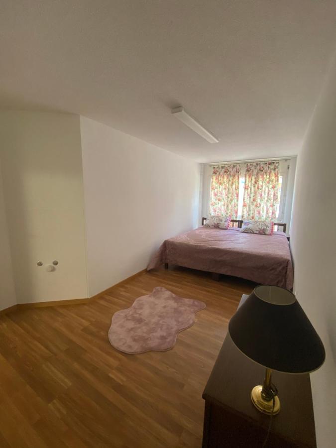 Get Cozy Family Flat Zuerich Apartment Bagian luar foto