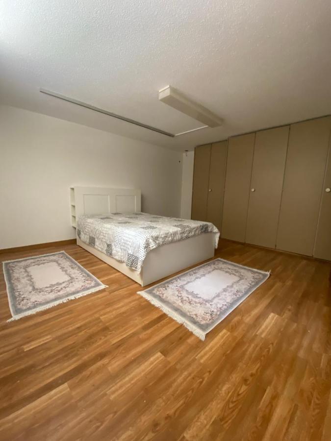 Get Cozy Family Flat Zuerich Apartment Bagian luar foto
