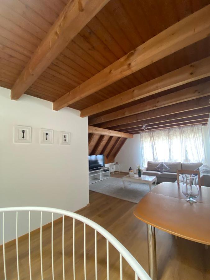 Get Cozy Family Flat Zuerich Apartment Bagian luar foto